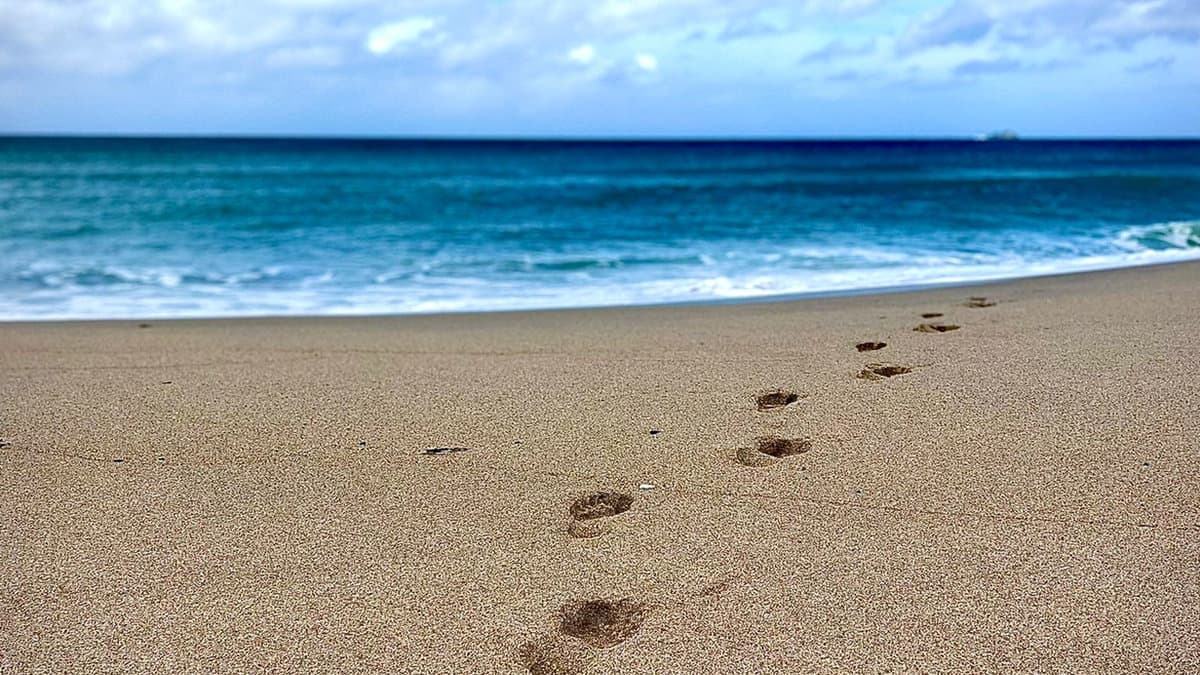 Bare feet pressing into the earth